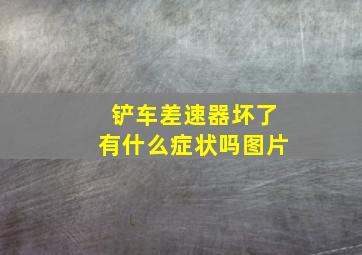 铲车差速器坏了有什么症状吗图片