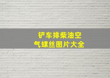 铲车排柴油空气螺丝图片大全