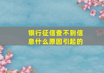 银行征信查不到信息什么原因引起的