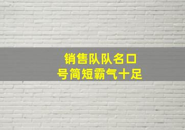 销售队队名口号简短霸气十足