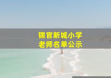 锦官新城小学老师名单公示