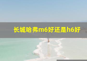 长城哈弗m6好还是h6好