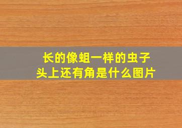 长的像蛆一样的虫子头上还有角是什么图片