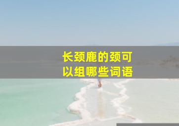 长颈鹿的颈可以组哪些词语