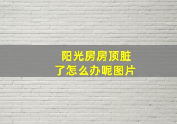 阳光房房顶脏了怎么办呢图片