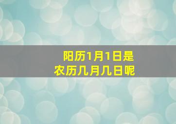 阳历1月1日是农历几月几日呢