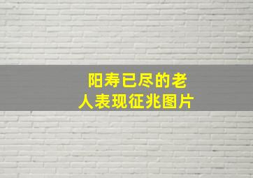 阳寿已尽的老人表现征兆图片