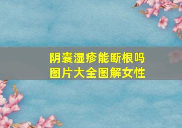 阴囊湿疹能断根吗图片大全图解女性