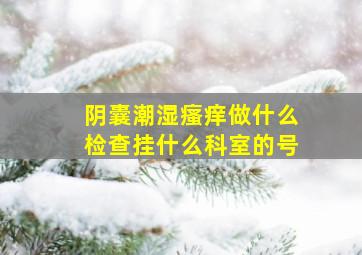 阴囊潮湿瘙痒做什么检查挂什么科室的号