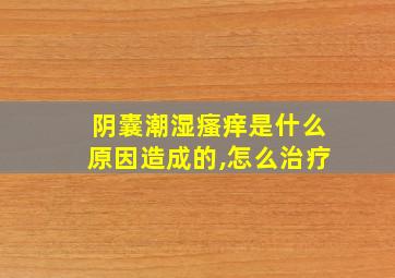 阴囊潮湿瘙痒是什么原因造成的,怎么治疗