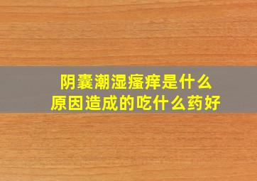 阴囊潮湿瘙痒是什么原因造成的吃什么药好