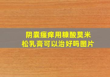 阴囊瘙痒用糠酸莫米松乳膏可以治好吗图片