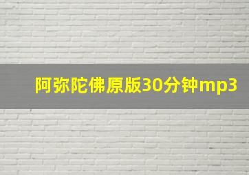 阿弥陀佛原版30分钟mp3