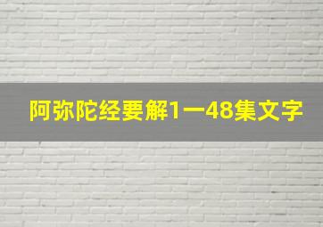 阿弥陀经要解1一48集文字