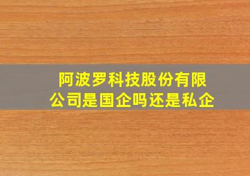 阿波罗科技股份有限公司是国企吗还是私企