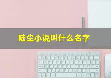 陆尘小说叫什么名字