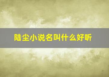 陆尘小说名叫什么好听