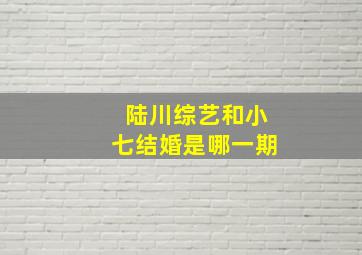 陆川综艺和小七结婚是哪一期