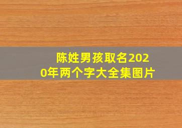 陈姓男孩取名2020年两个字大全集图片