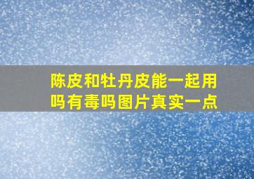 陈皮和牡丹皮能一起用吗有毒吗图片真实一点