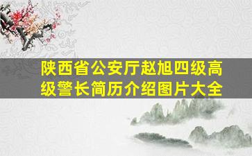 陕西省公安厅赵旭四级高级警长简历介绍图片大全