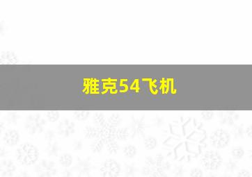 雅克54飞机