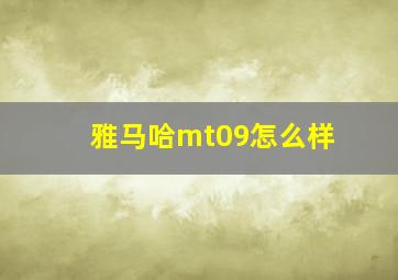 雅马哈mt09怎么样