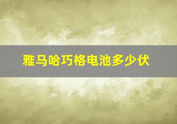 雅马哈巧格电池多少伏