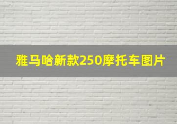 雅马哈新款250摩托车图片