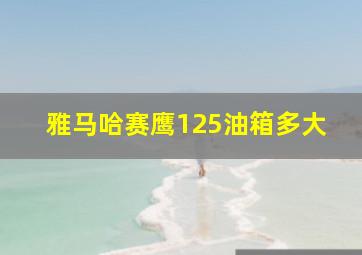 雅马哈赛鹰125油箱多大