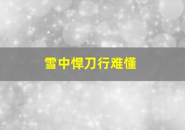 雪中悍刀行难懂