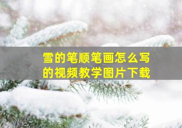 雪的笔顺笔画怎么写的视频教学图片下载