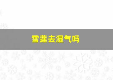 雪莲去湿气吗