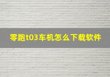 零跑t03车机怎么下载软件