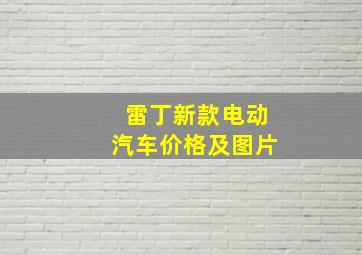 雷丁新款电动汽车价格及图片