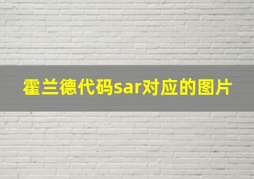 霍兰德代码sar对应的图片