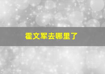 霍文军去哪里了