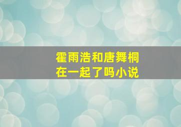 霍雨浩和唐舞桐在一起了吗小说