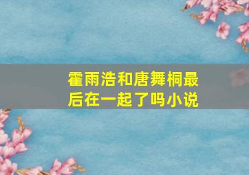 霍雨浩和唐舞桐最后在一起了吗小说