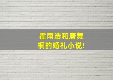 霍雨浩和唐舞桐的婚礼小说!