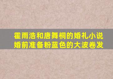 霍雨浩和唐舞桐的婚礼小说婚前准备粉蓝色的大波卷发