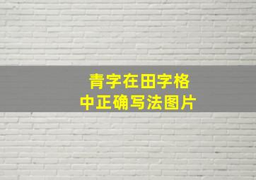 青字在田字格中正确写法图片