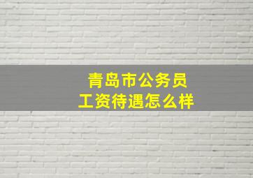 青岛市公务员工资待遇怎么样