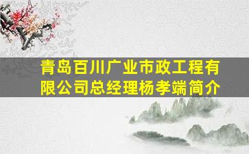 青岛百川广业市政工程有限公司总经理杨孝端简介