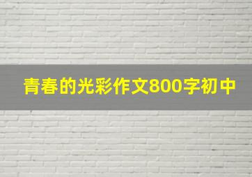 青春的光彩作文800字初中