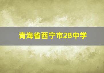 青海省西宁市28中学