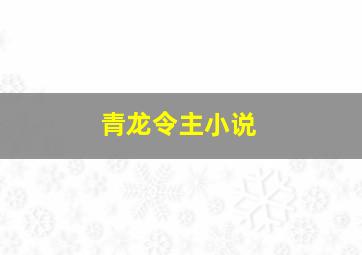 青龙令主小说