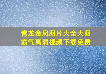 青龙金凤图片大全大图霸气高清视频下载免费