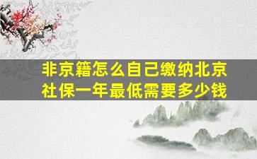 非京籍怎么自己缴纳北京社保一年最低需要多少钱