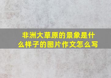 非洲大草原的景象是什么样子的图片作文怎么写